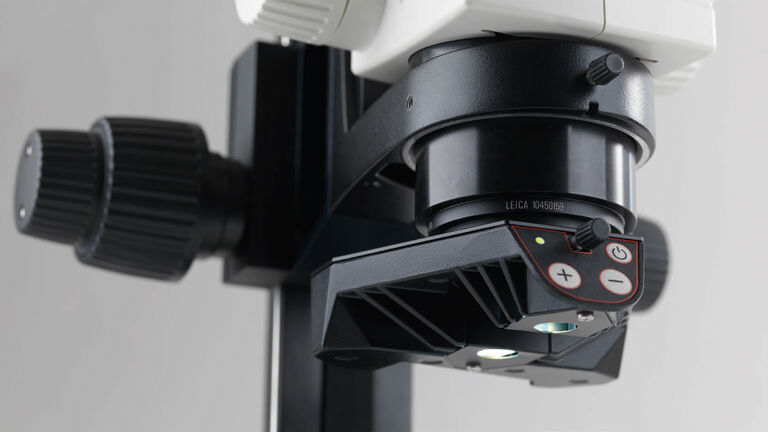 Dissecting Microscopes | Applications | Leica Microsystems