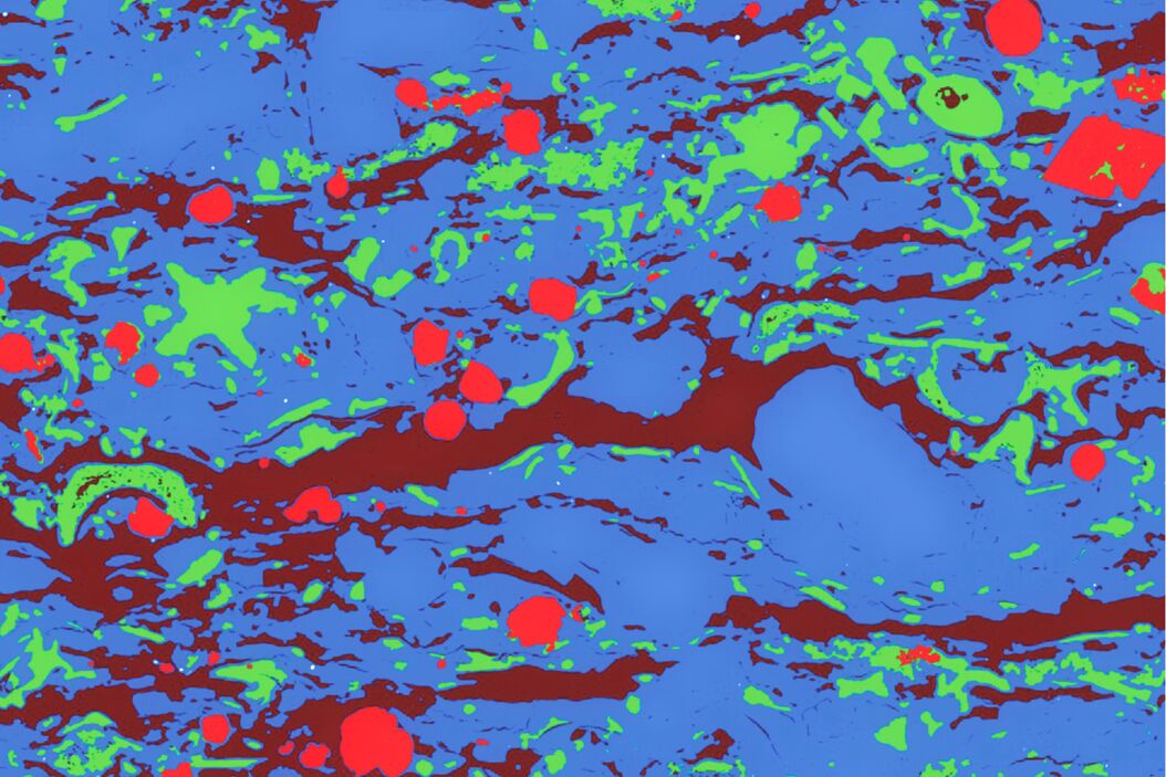  bib_sem_vip_app_vip_note_science_lab_schmatz_et_al_derose_july_2018_fig_abstract.jpg