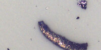 Example of a copper particle which could be found during cleanliness analysis of components.