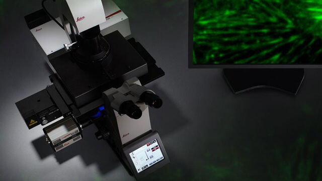 Microscope Imaging Software | Products | Leica Microsystems