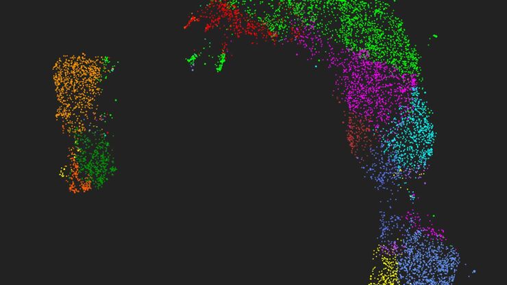 Dimensionality Reduction (UMAP)