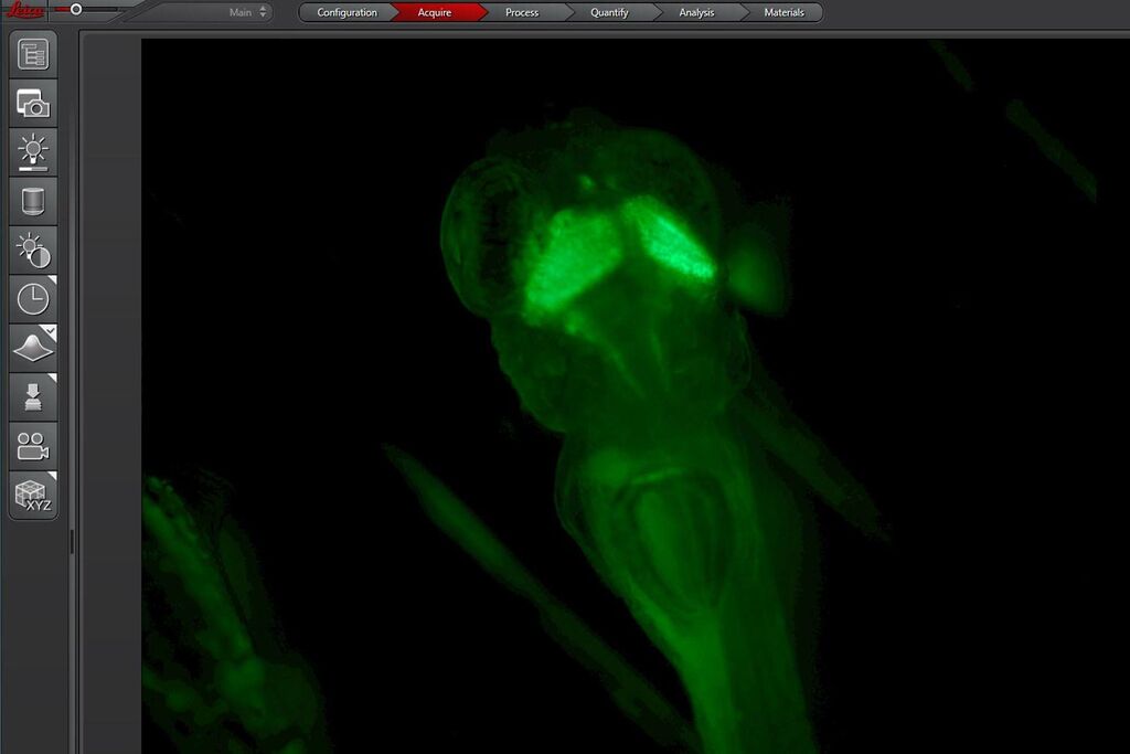 Las Microscope LAS X Life Science Microscope Software | Products | Leica Microsystems