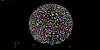 Murine liver organoid acquired using Viventis Deep, showing nuclei (H2B-mCherry, magenta) and cell membranes (mg-GFP, cyan). 3D reconstruction and segmentation using Aivia AI Image Analysis Software. 