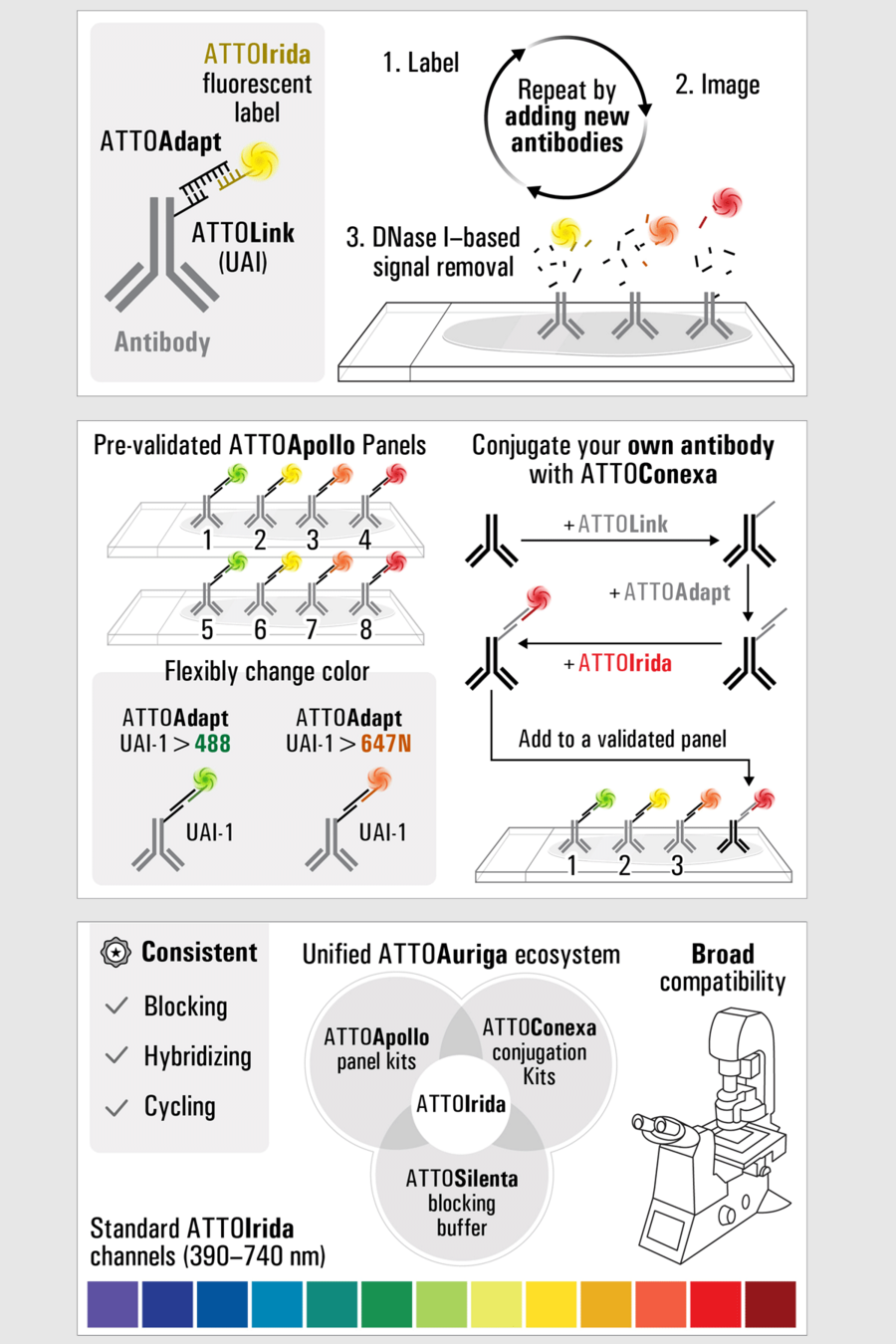 ATTOAuriga spatial biology reagents schematic