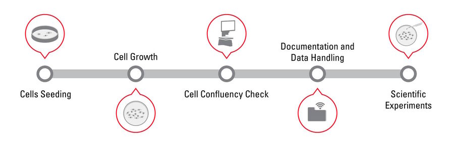 Confluency Check Workflow Steps: 1. Cell Seeding, 2. Cell Growth, 3. Cell Confluency Check, 4. Data handling, and 5. Scientific experiments 