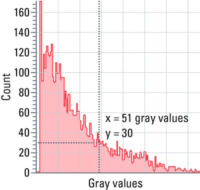 Figure 11: Example of a grayscale histogram.