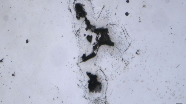Particle analysis with the Visoria M microscope