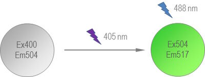 PA-GFP (photoactivatable green fluorescent protein) can be activated by UV light from a non-fluorescent state to a fluorescent state.