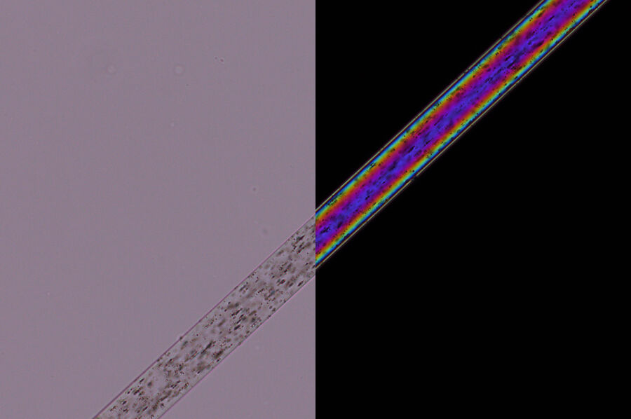 polyamide fiber imaged with parallel and crossed polarizers