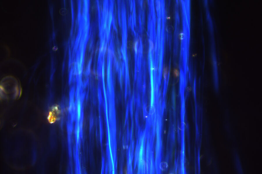 typical blue dispersion color of chrysolite in N-S orientation