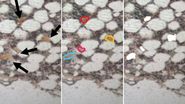 Low-input spatial proteomics workflow for megakaryocyte isolation from bone marrow.