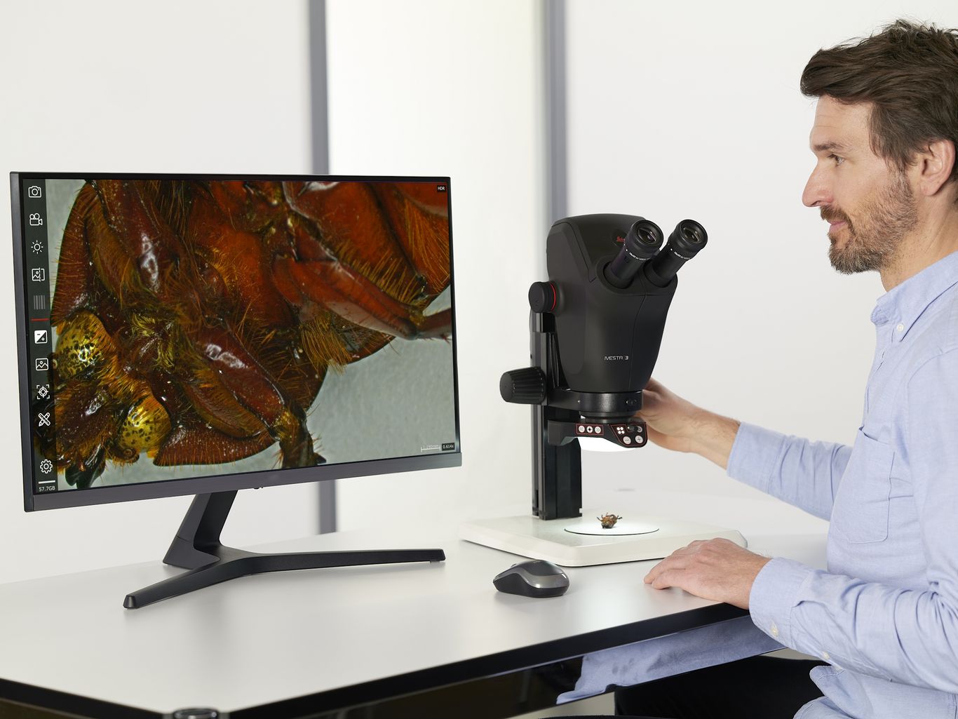 Selecting the Right Dissecting Microscope | Learn & Share | Leica ...