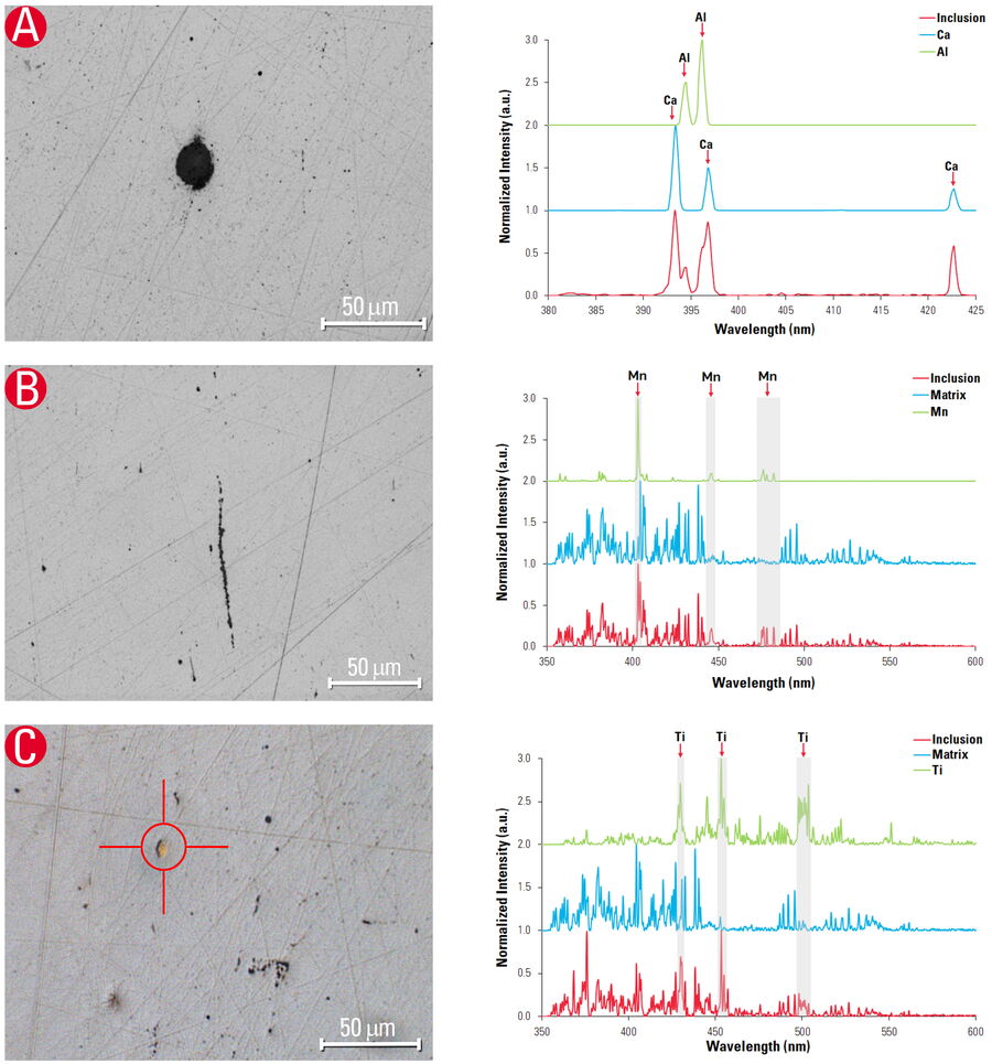 Inclusions in steel examined with the DM6 M LIBS system, where both image and composition data were obtained simultaneously with a single analysis.