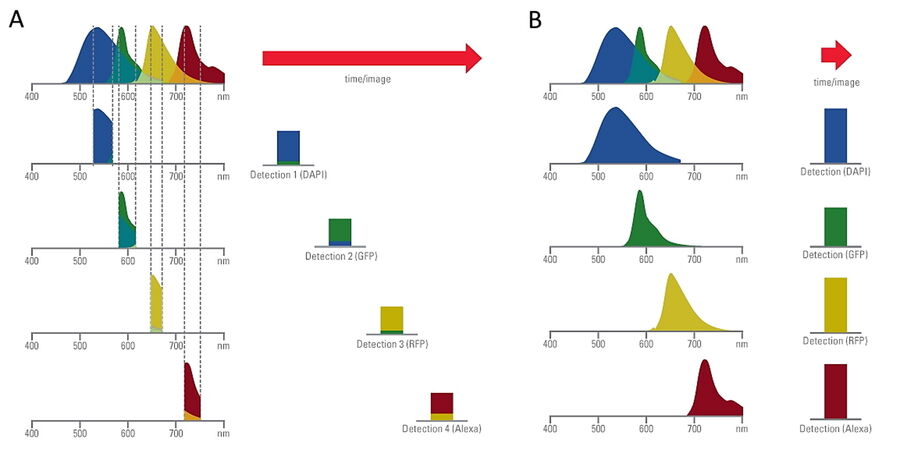 4 color fluorescence imaging_Conventional vs Fluosync 4 color fluorescence imaging_Conventional vs Fluosync
