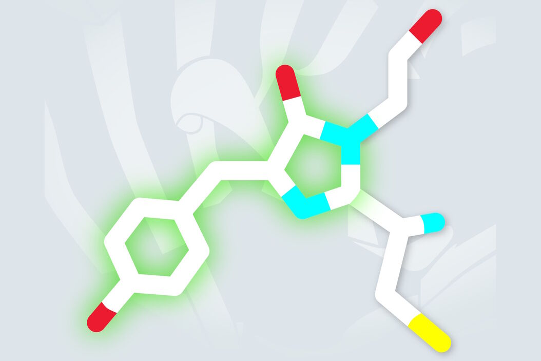 [Translate to chinese:] Dronpa chromophore Dronpa_chromophore.jpg