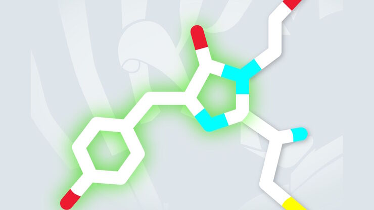 Dronpa chromophore Dronpa chromophore