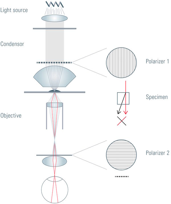 Principles of a polarizing microscope