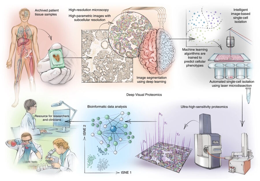 Fig. 1: Illustration of the DVP concept and workflow where tSNE represents t-distributed stochastic neighbor embedding. 