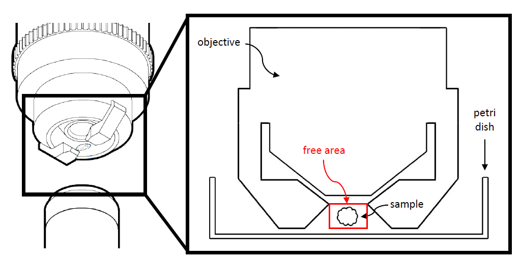Using a Rotation Device for Light Sheet Sample Mounting | Learn & Share ...