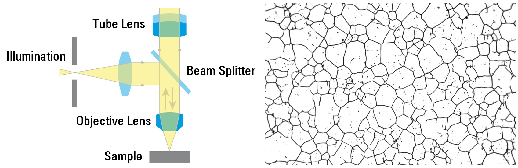 Schematic for microscope brightfield illumination and steel alloy image taken with brightfield.