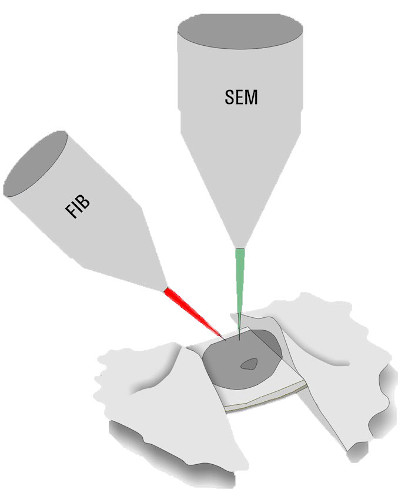 Schematic drawing of the Focused Ion Beam Milling technique. While observing the sample with the scanning electron beam, a focused ion beam (FIB) is directed to the sample removing material above and below a thin remaining ice sheet (lamella).  