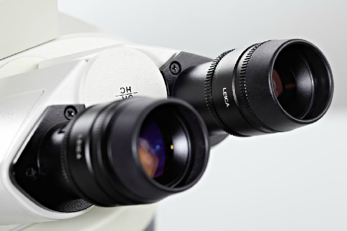 The final image of a microscope can be watched with the eyepieces, also called oculars, or ocular lenses.