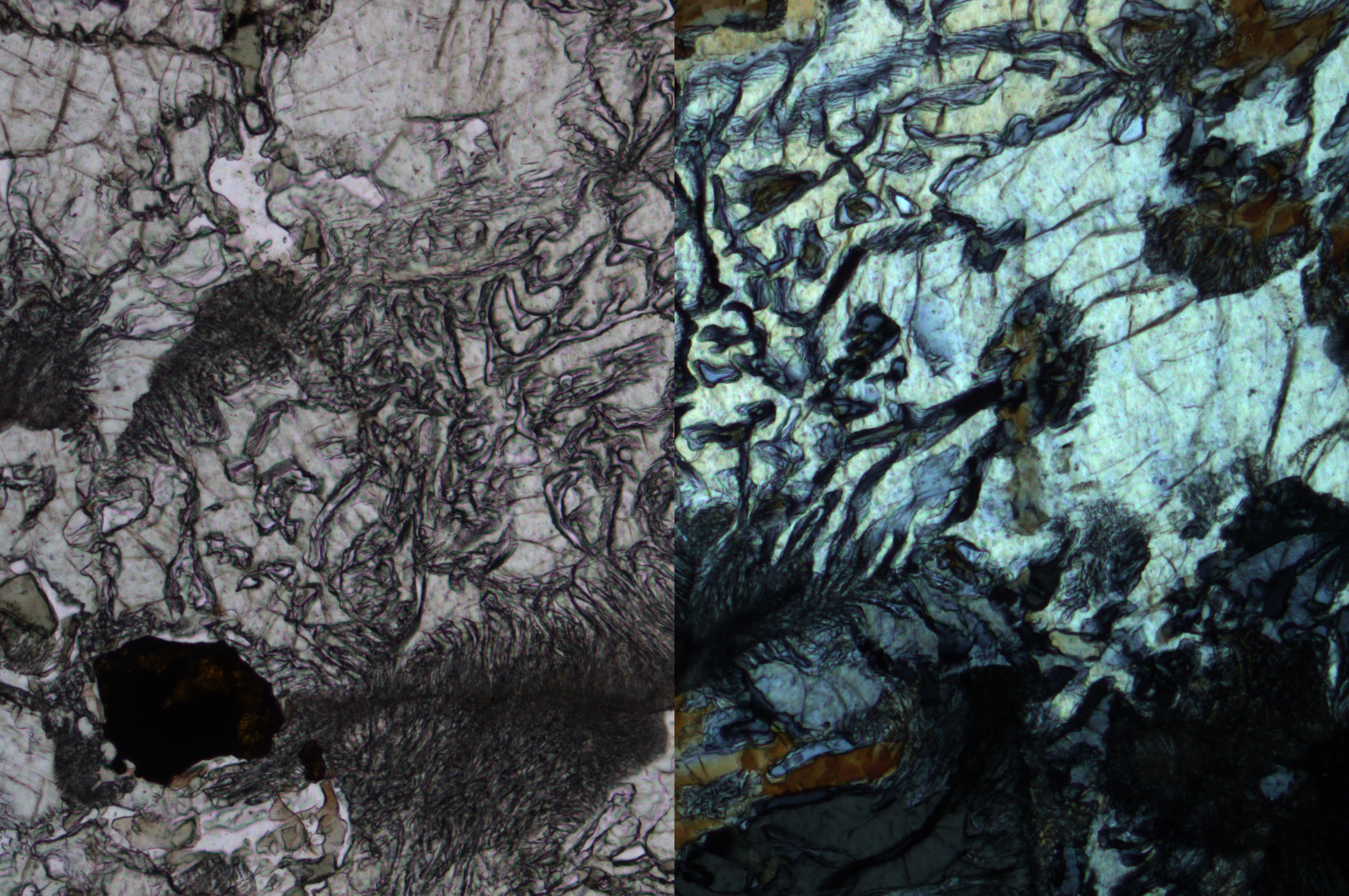 Eclogite imaged with parallel and crossed polarizers