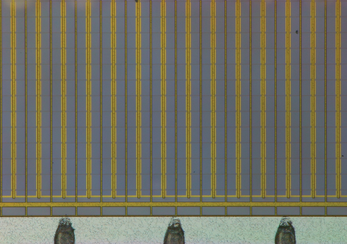 Leica DVM6 image of an electronic sensor: middle magnification range (middle objective).