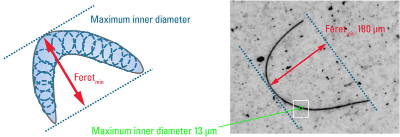 Figure 3: Width or length measurement of a curved fiber with optical microscopy. A more realistic assessment of its potential to cause damage is made using the max circular diameter which can be imposed inside the fiber (13 µm). For this case, the minimum Feret diameter (Feretmin= 180 µm) is not appropriate, as it greatly overestimates the damage potential.