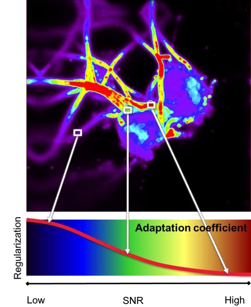 By viewing the image (a) as a heat-map of low SNR (black/purple) to high SNR (orange/ red) local adaptive coefficients are created over the entire image to (b) regularize and constrain the deconvolution.