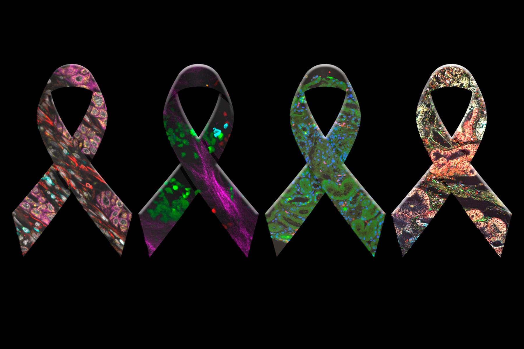 Awareness ribbons. Cancer research ebook cover.