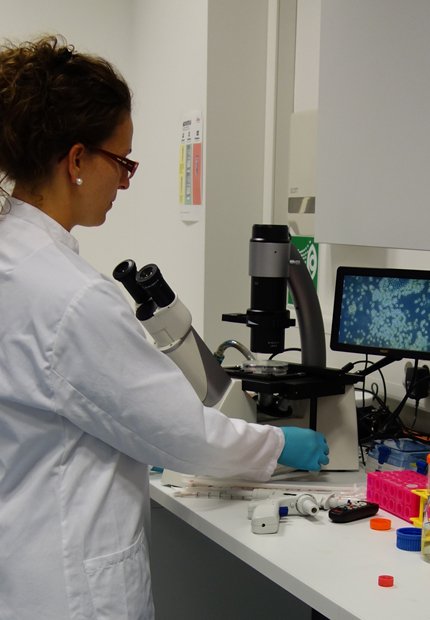 To avoid over-trypsination which can damage the cells, check them every few minutes under the microscope