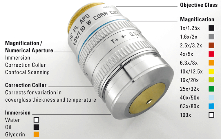 Zeiss 100x Plan Correction-Collar Oil Objective – Microscope Central