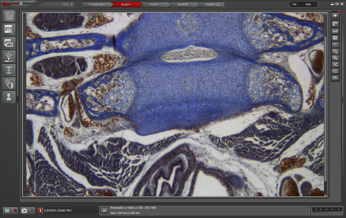 Leica Application Suite X – logiciel d'imagerie et d'analyse pour la recherche appliquée aux sciences de la vie