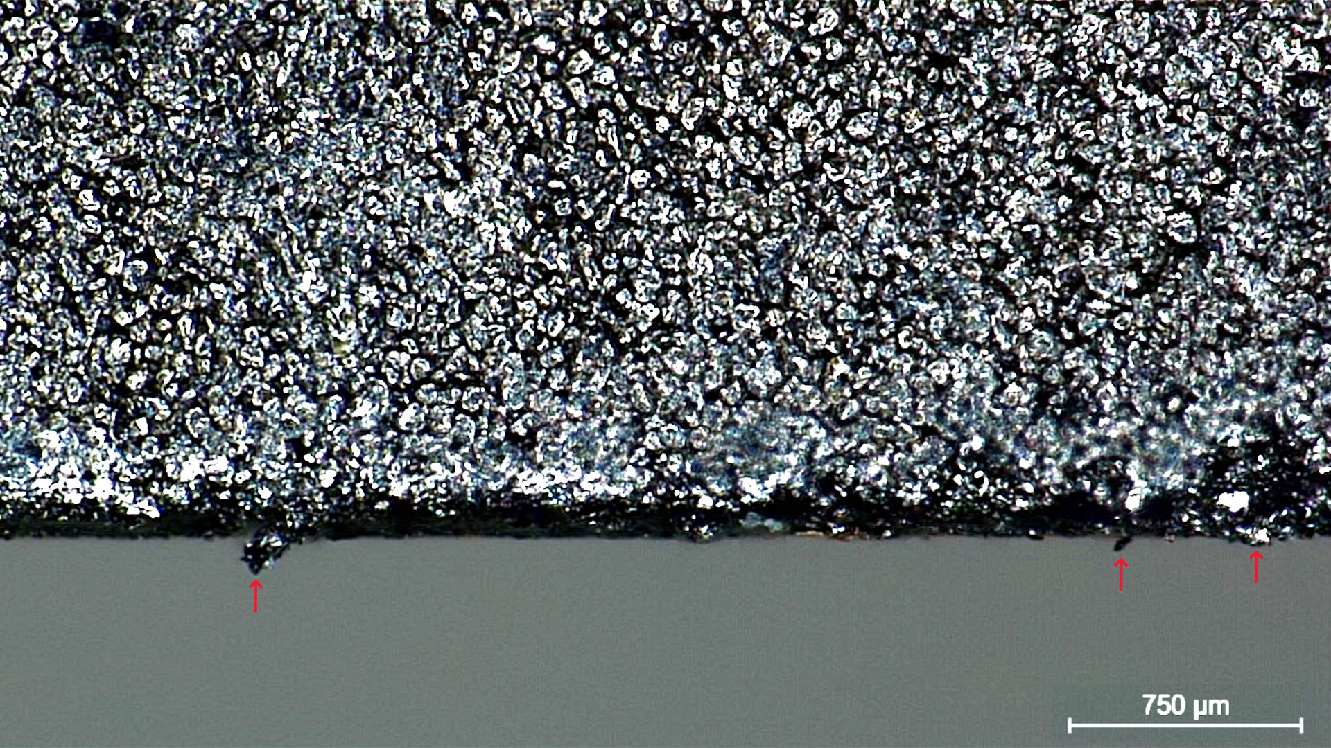 Battery electrode showing burrs (marked by red arrows) at its edges. Image taken with a DVM6 digital microscope.