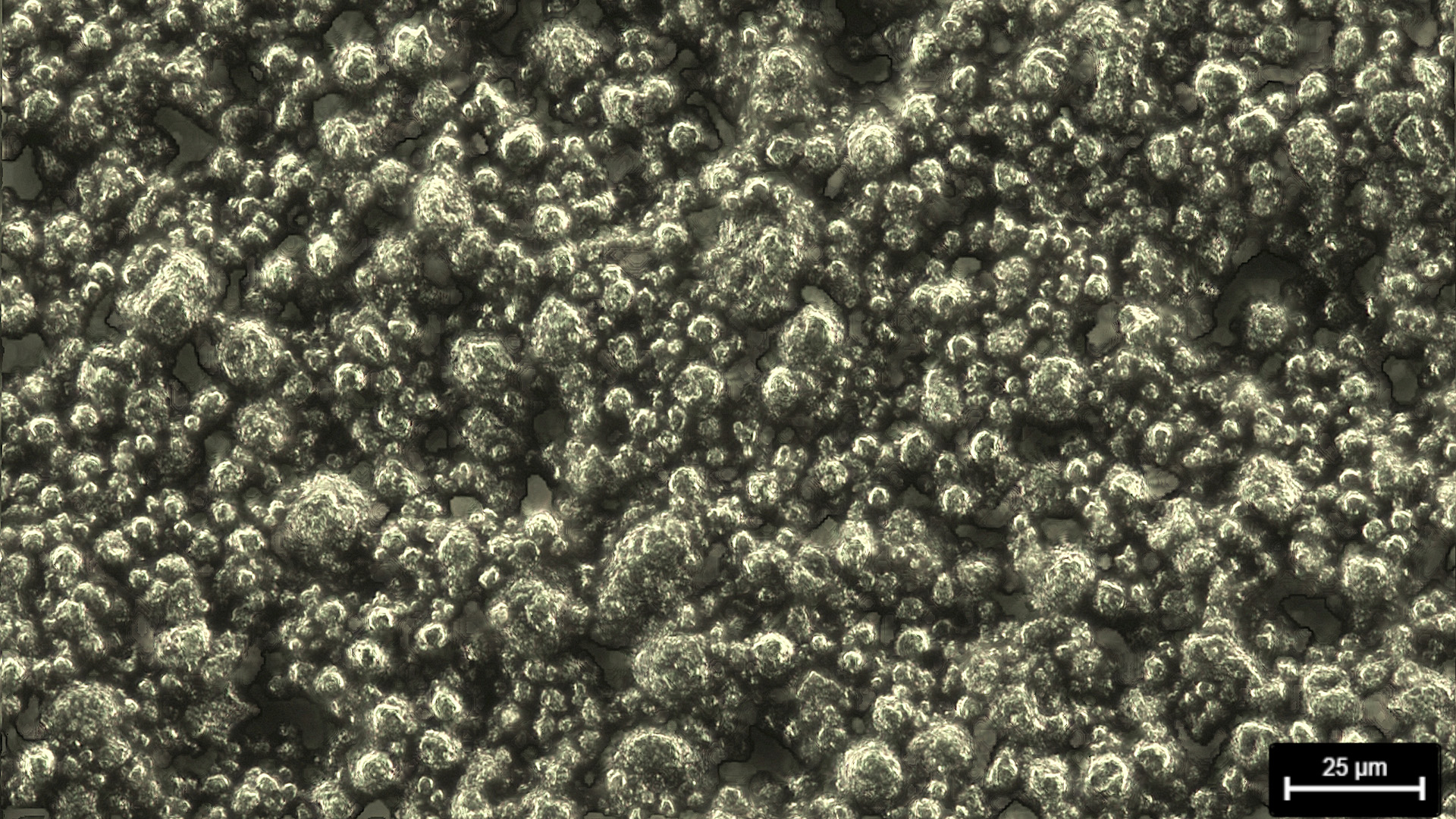 Immagine di una superficie di elettrodi per batteria acquisita con l'illuminazione in campo scuro utilizzando un microscopio composto Leica.