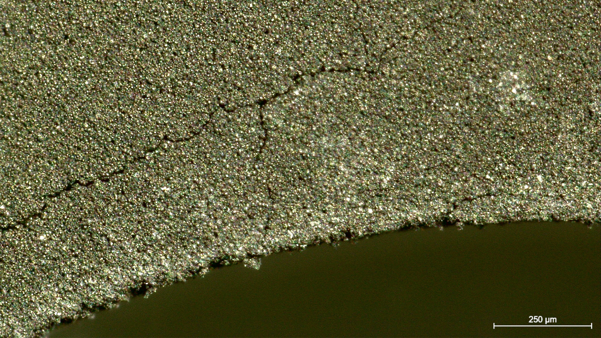 Battery electrode which has cracks and burrs at the edges. Image taken with a DVM6 digital microscope.