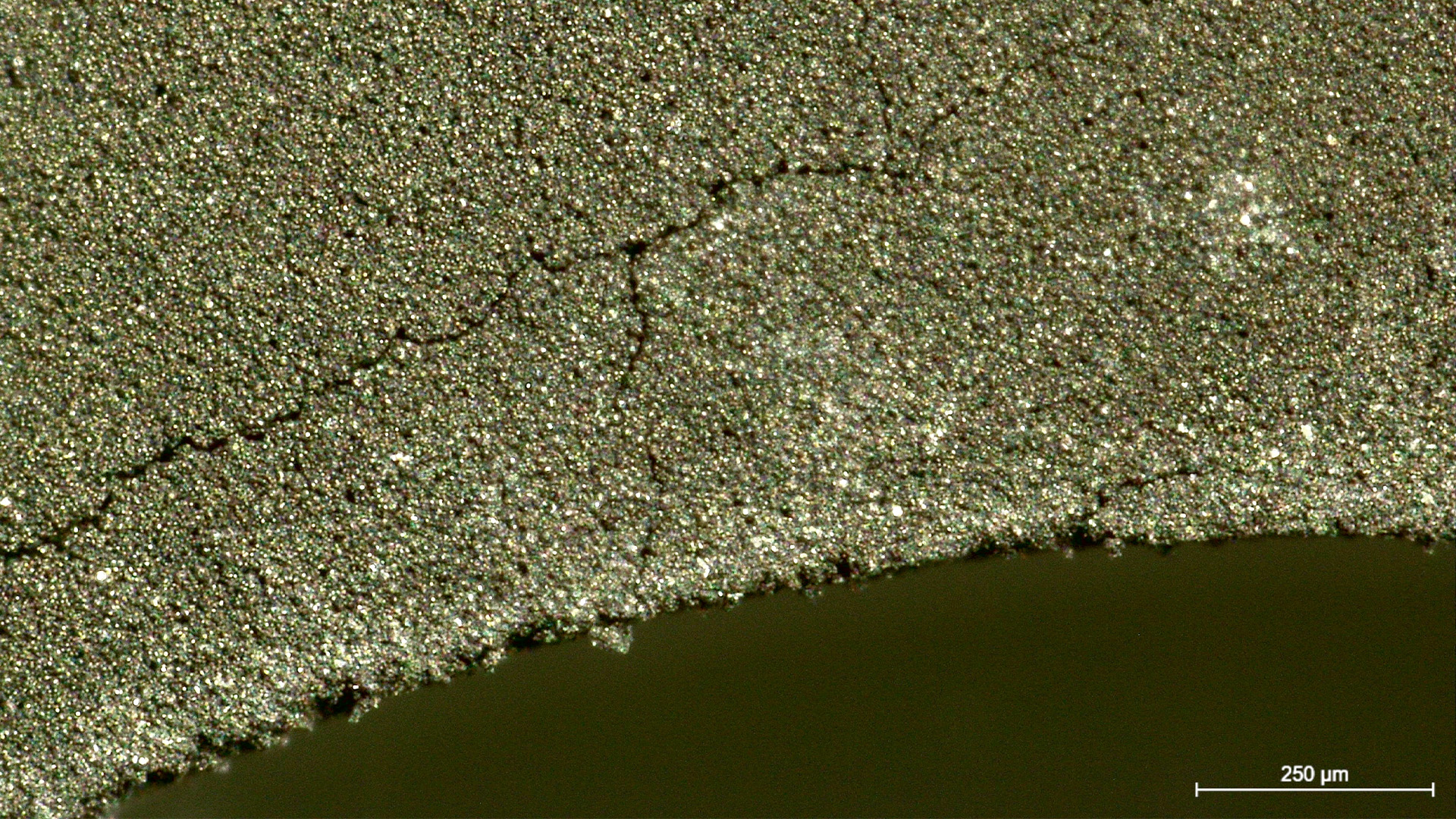 L'elettrodo della batteria presenta incrinature e sbavature sui bordi. Immagine acquisita con un microscopio digitale DVM6.