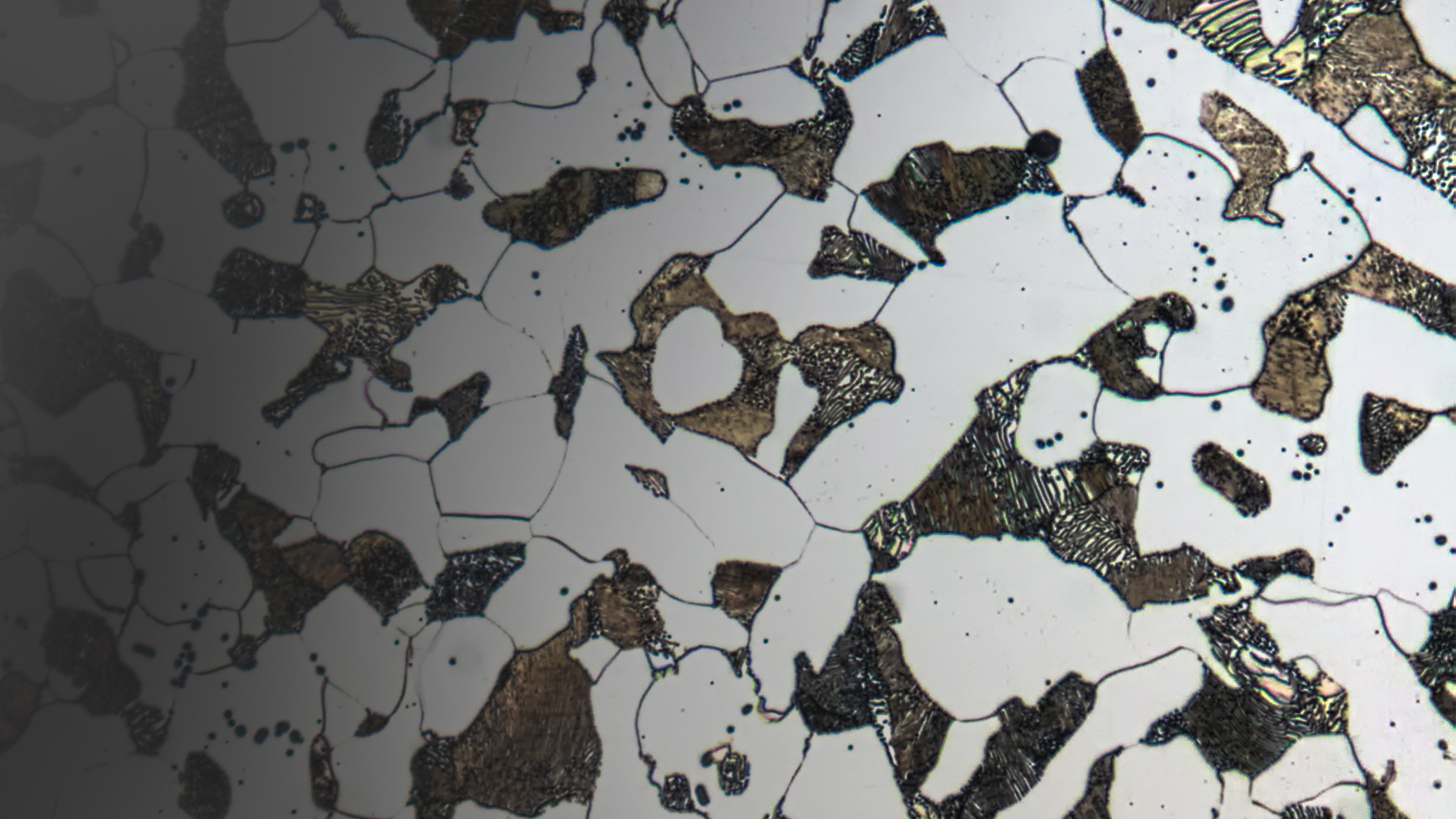 Image showing the ferrite and pearlite phases of cast iron steel. 