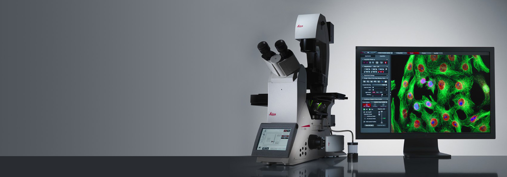 Imágen de fluorescencia Leica con DMi8