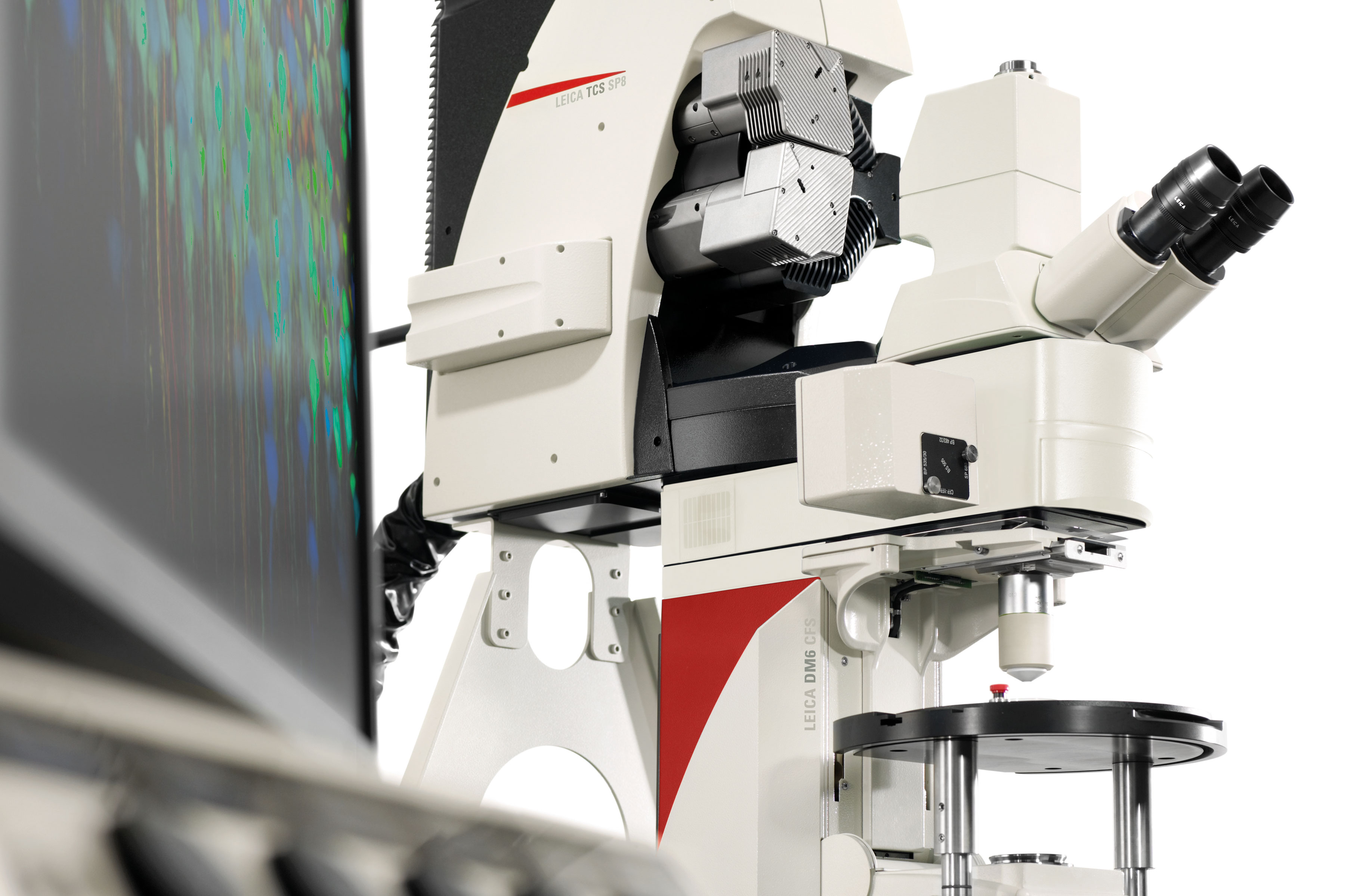 Leica TCS SP8 MP microscópio multifóton con IR laser e OPO