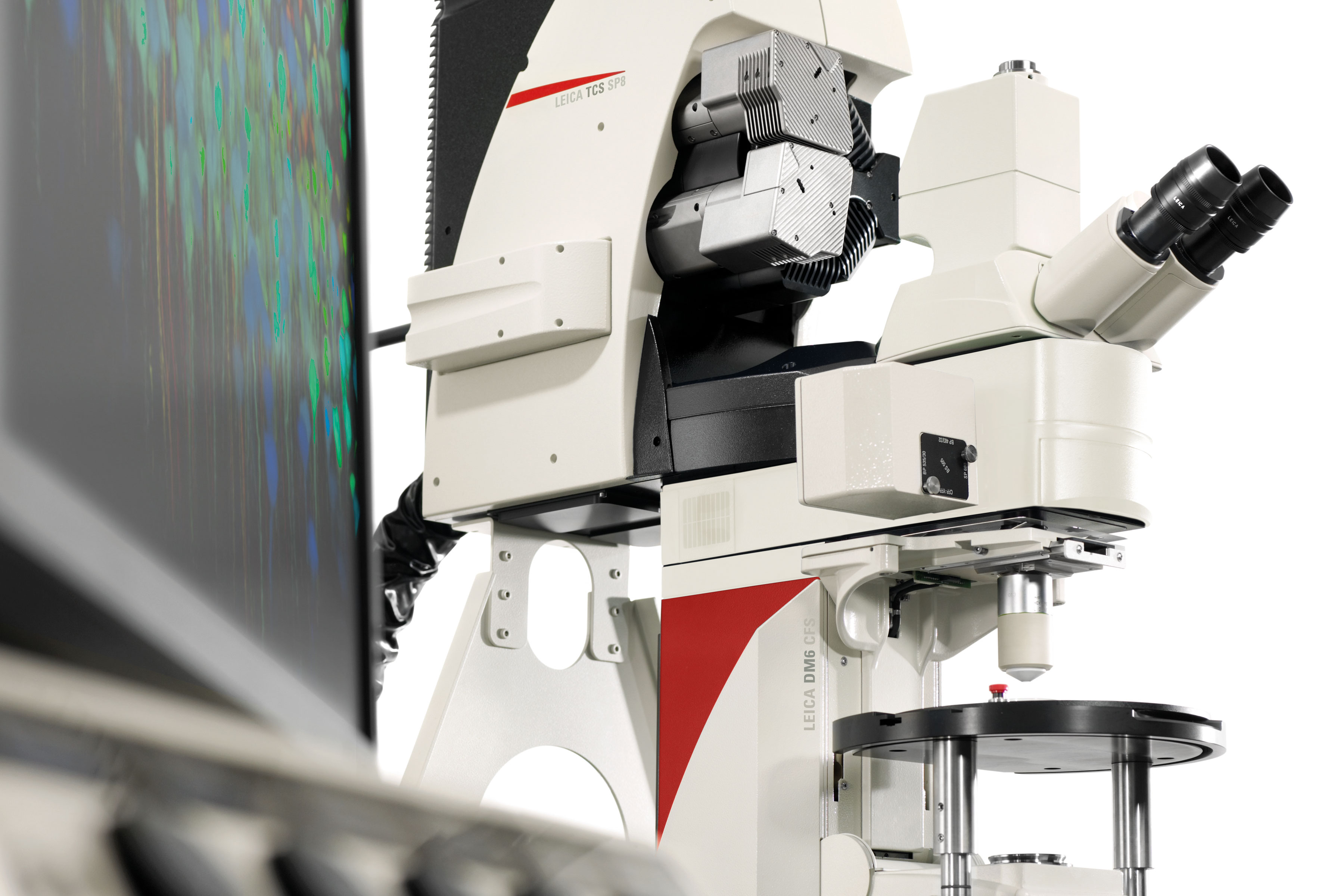 Leica TCS SP8 MP Multiphoton Microscope avec IR Laser et OPO