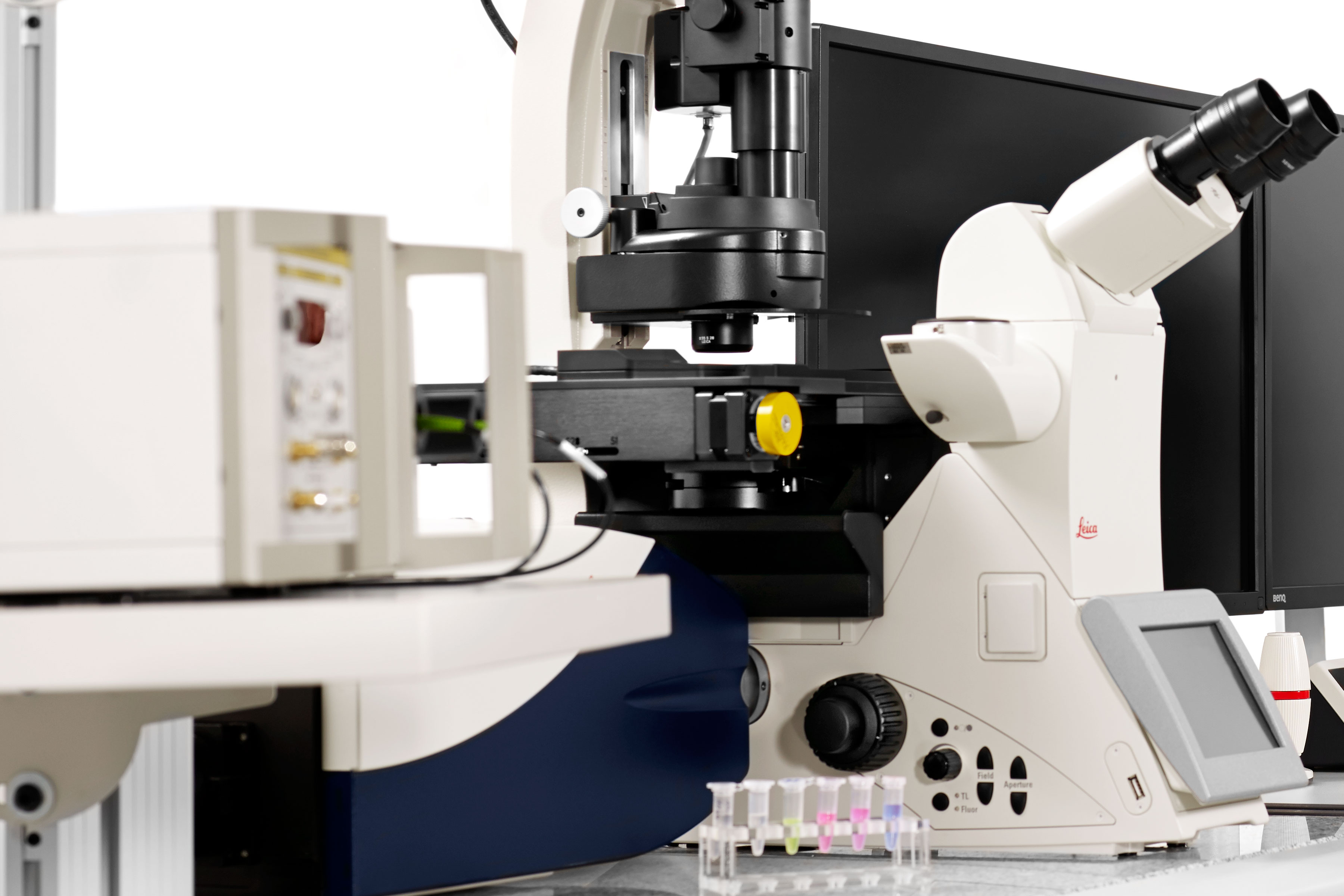 Single Molecule Detection Platform Leica TCS SP8 SMD