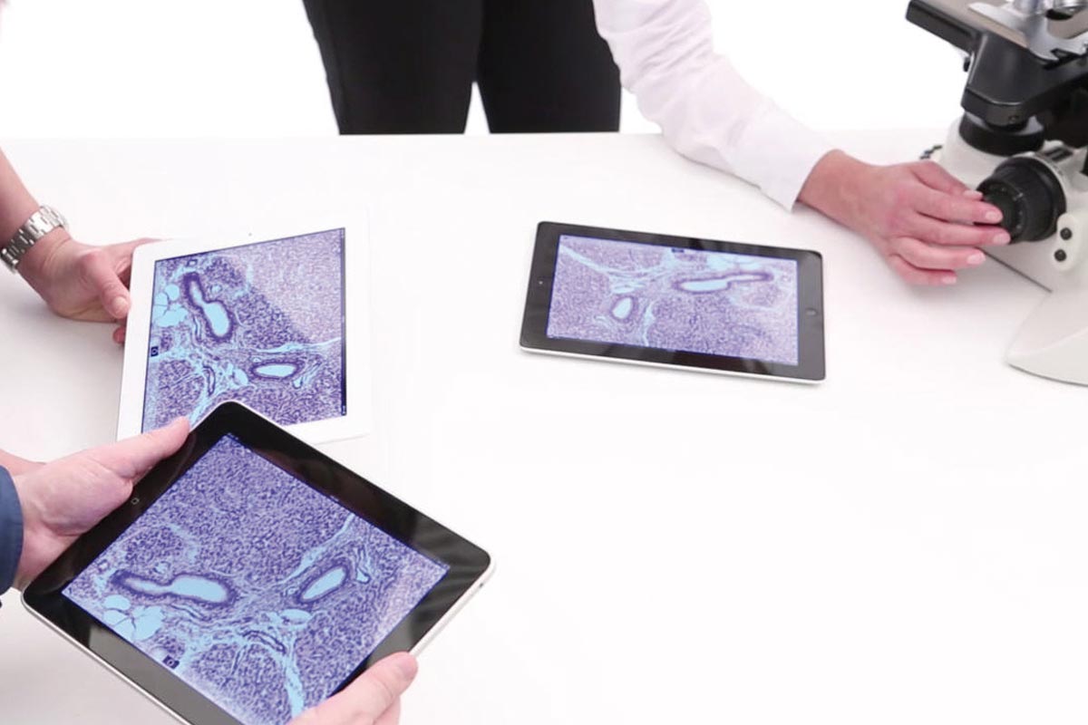 Cómo compartir imágenes de microscopio. Aplicación Leica DMShare para iPad