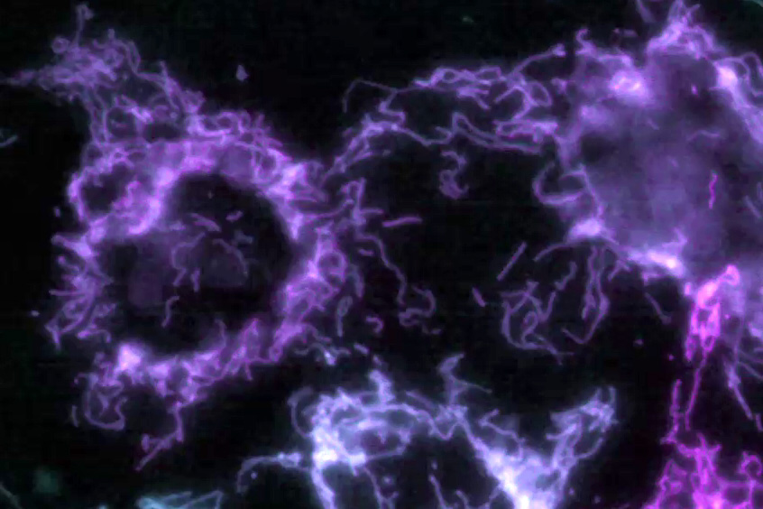 Mica Microhub No constraints - 4x more data with 100% correlation