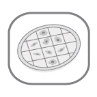 Cryo Electron Tomography - Micropatterning Cryo Electron Tomography - Micropatterning