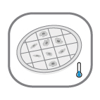 Cryo Electron Tomography - Vitrification