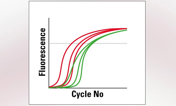 Reliable qPCR result.