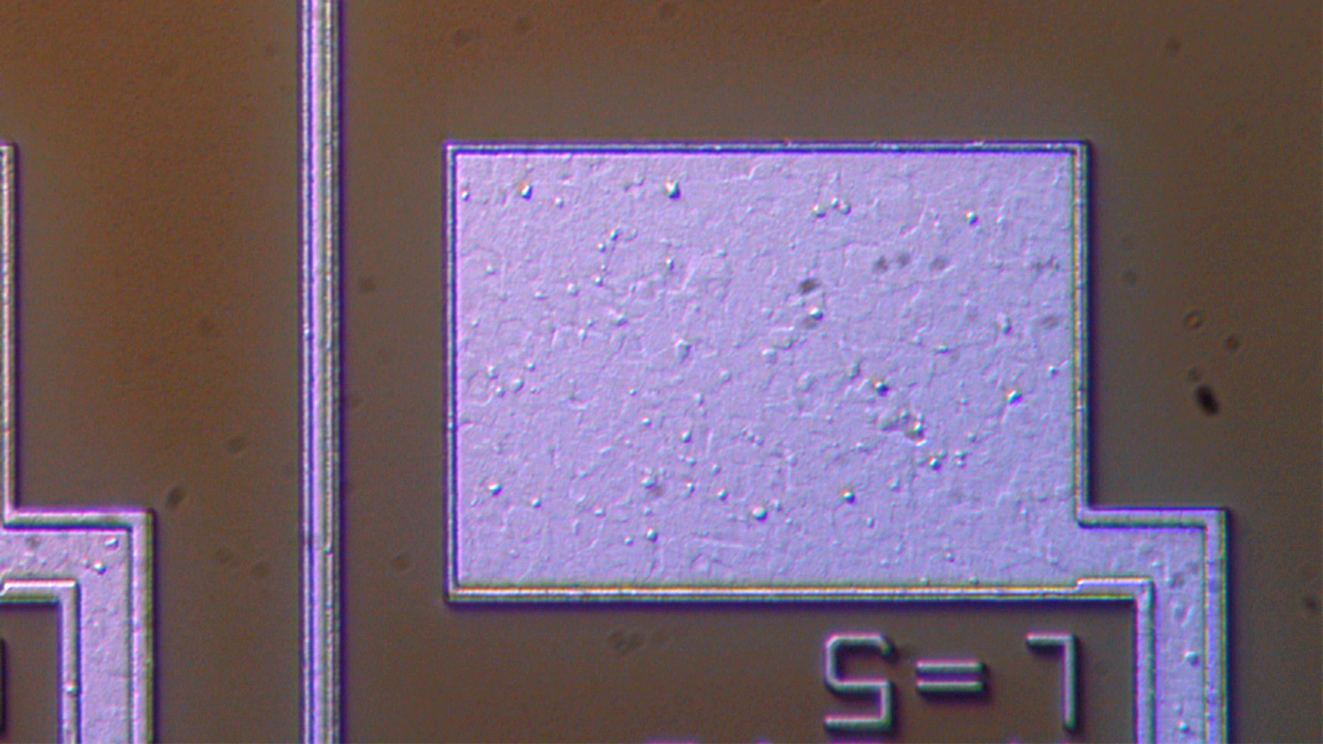 Inspection of an IC-patterned semiconductor. Image of the same region acquired with oblique illumination.