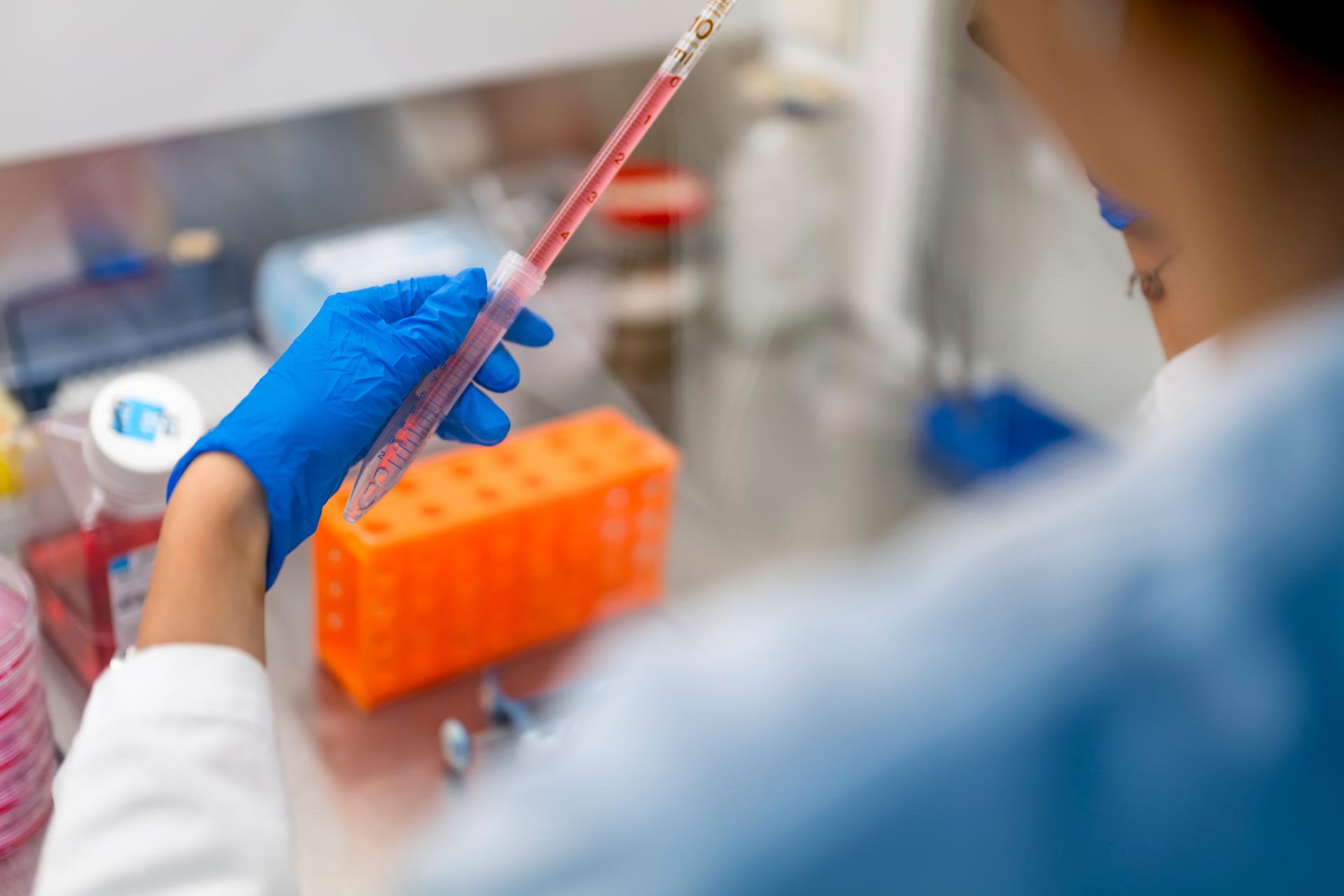 User with pipette in the laboratory